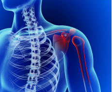 ×ðÁú¿Ê±--ÈËÉú¾ÍÊDz©-¹ÙÍøAPP