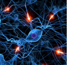 ×ðÁú¿Ê±--ÈËÉú¾ÍÊDz©-¹ÙÍøAPP