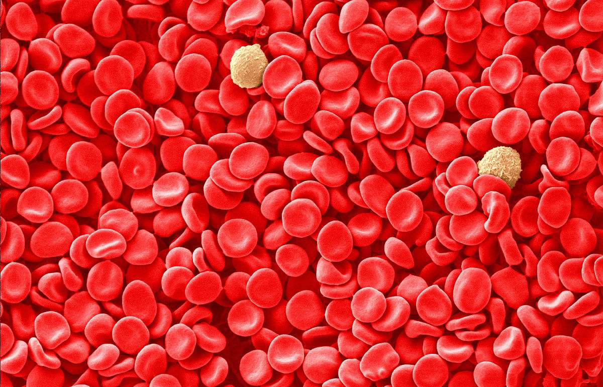 ×ðÁú¿Ê±--ÈËÉú¾ÍÊDz©-¹ÙÍøAPP