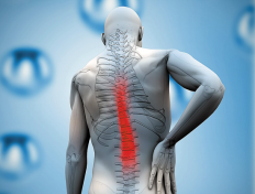 尊龙凯时--人生就是博-官网APP