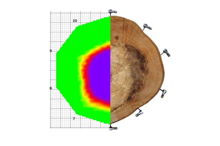 木料应力波测定仪,木料声波断层扫描系统,木料3D成像系统,木料应力波三维成像仪,木料缺陷检测,古修建木结构检测,树木朴陋检测,匈牙利Fakopp